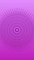abstract background of the pink line texture video