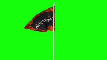 Thanksgiving Day Flag Waving in Wind with Pole, 3D Rendering, Chroma Key, Luma Matte Black and White Selection of Flag video