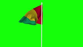 Guinea Flag Waving in Wind with Pole, 3D Rendering, Chroma Key, Luma Matte Black and White Selection of Flag video