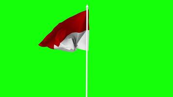 Indonesia Flag Waving in Wind with Pole, 3D Rendering, Chroma Key, Luma Matte Black and White Selection of Flag video