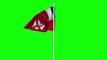 Wallis and Futuna Flag Waving in Wind with Pole, 3D Rendering, Chroma Key, Luma Matte Black and White Selection of Flag video