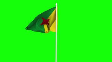 French Guiana Flag Waving in Wind with Pole, 3D Rendering, Chroma Key, Luma Matte Black and White Selection of Flag video