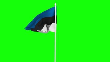Estonia Flag Waving in Wind with Pole, 3D Rendering, Chroma Key, Luma Matte Black and White Selection of Flag video