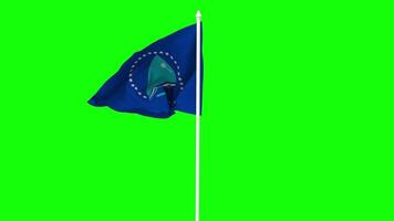 Pacific Community, PC, South Pacific Commission, SPC Flag Waving in Wind with Pole, 3D Rendering, Chroma Key, Luma Matte Black and White Selection of Flag video