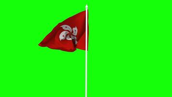 Hong Kong Flag Waving in Wind with Pole, 3D Rendering, Chroma Key, Luma Matte Black and White Selection of Flag video