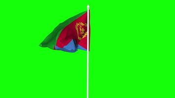 Eritrea Flag Waving in Wind with Pole, 3D Rendering, Chroma Key, Luma Matte Black and White Selection of Flag video