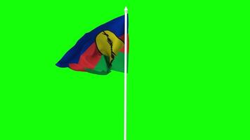 New Caledonia Flag Waving in Wind with Pole, 3D Rendering, Chroma Key, Luma Matte Black and White Selection of Flag video