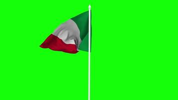 Italy Flag Waving in Wind with Pole, 3D Rendering, Chroma Key, Luma Matte Black and White Selection of Flag video