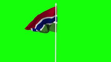 Gambia Flag Waving in Wind with Pole, 3D Rendering, Chroma Key, Luma Matte Black and White Selection of Flag video