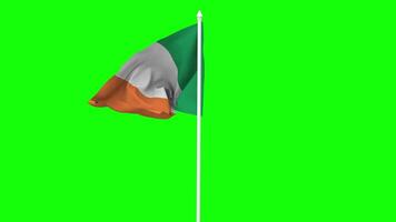 Ireland Flag Waving in Wind with Pole, 3D Rendering, Chroma Key, Luma Matte Black and White Selection of Flag video