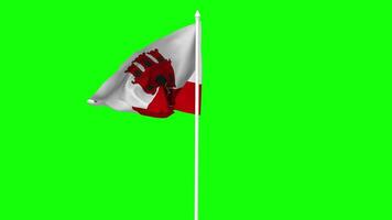Gibraltar Flag Waving in Wind with Pole, 3D Rendering, Chroma Key, Luma Matte Black and White Selection of Flag video