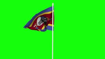 Eswatini Flag Waving in Wind with Pole, 3D Rendering, Chroma Key, Luma Matte Black and White Selection of Flag video