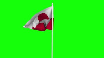 Greenland Flag Waving in Wind with Pole, 3D Rendering, Chroma Key, Luma Matte Black and White Selection of Flag video
