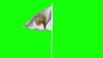 South Asian Association for Regional Cooperation, SAARC Flag Waving in Wind with Pole, 3D Rendering, Chroma Key, Luma Matte Black and White Selection of Flag video