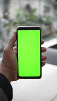 A person holds a phone with a green screen indoors, with blurred plants in the background video