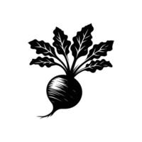 Detailed Black and White Beetroot Illustration - Ideal for Print and Web Use vector