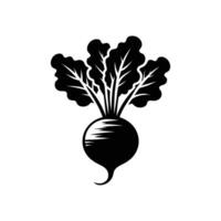 Detailed Black and White Beetroot Illustration - Ideal for Print and Web Use vector