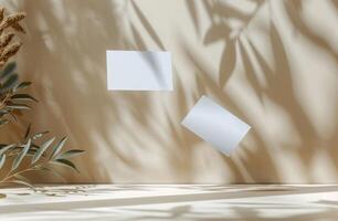 Two Blank White Cards Floating in Air With Shadows and Dried Plant photo