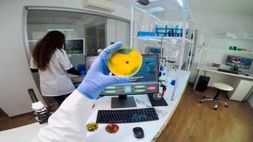 POV of chemist analysing bacteria culture from petri dish typing results in pc. Team of doctors examining vaccine evolution with high tech, chemistry tools for research in development of covid19 virus photo