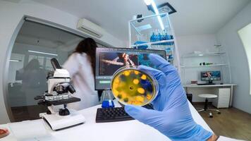 Doctor examining petri dish with various bacteria analysing virus evolution working in equipped laboratory. Team of scientists researching vaccine using high tech for treatment against covid19 virus photo