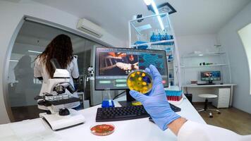 FPV of chemist holding petri dish with various bacteria analysing virus evolution working in equipped laboratory. Team of scientists examining new vaccine against covid19 virus using high tech photo