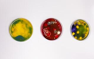 Close up of petri dish on laboratory desk at clinic. Professional instruments of glass plates with bacteria and virus prepared for microscopic analysis in biochemistry cabinet photo