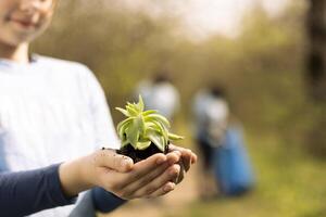 Small activist holding a green seedling sprout in her hands, symbolizing natural environment preservation and growth. Little kid working on conserving the forest habitat, save the planet. Close up. photo