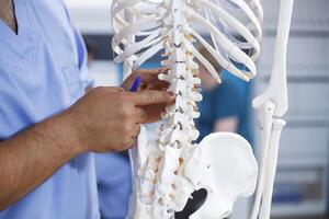 Physiotherapist diagnoses mechanical issues and explains discomfort by pointing at backbones of a human skeleton. Medic displaying the osteopathy system and spinal cord in close-up. photo