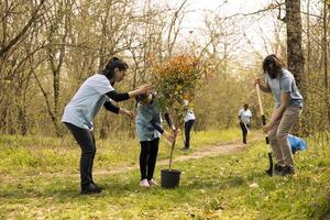 Team of activists growing the natural vegetation in a forest area, planting trees and preserving nature by taking action for reforestation. Volunteers team up for community service. photo