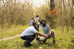 Diverse people are planting a small tree in the forest environment, contributing to wildlife and nature preservation. Activists doing voluntary work by increasing the vegetation. photo