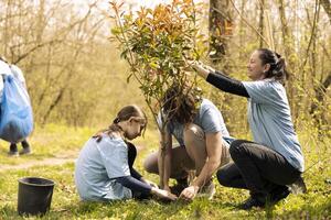 Activists and a girl installing a tree and covering hole in the woods, supporting reforestation and conservation project. Motivated group of volunteers working to save the planet. photo
