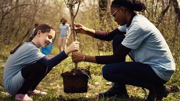 Two diverse girls do voluntary work by planting small trees in the forest, preserving natural habitat. Participating in environmental conservation and protecting the earth ecosystem. Camera B. photo