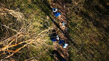 Aerial view of campaigners joining forces to recycle and tidy up garbage in a forest in order to safeguard the ecosystem. Individuals having ecologic conservation principles, eco friendly. photo