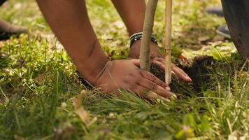 Volunteers filling up holes after planting trees around the forest, contributing to environmental protection and restore nature. Activists social team growing seeds in the woods habitat. Camera A. photo