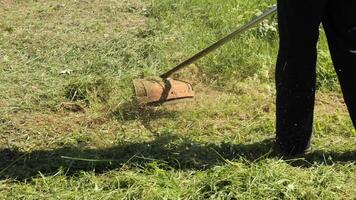 gardener with grass trimmer mows lawn. man mowing the grass with a trimmer video