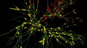 Black background.Design.Green bright lines that branch out into abstractions and yellow and red rays running over them . video