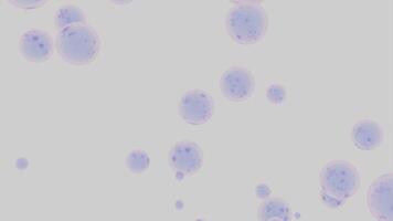 Abstract colorful soap bubbles flow. Design. 3D round objects on a white background. video