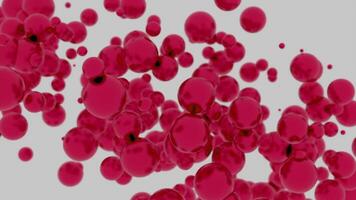 Red blood cells moving in the blood stream. Design. Red particles on a white background. video