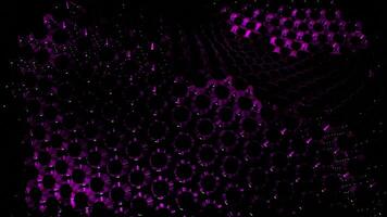 Red and purple grid. Design. Black background with a moving grid with bright shades made in abstraction. video