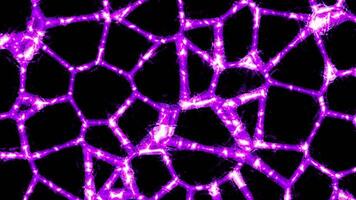 Pattern with moving neural networks on black background. Design. Bright lines in moving pattern and shining pulses. Light pulses move along changing network of pattern video