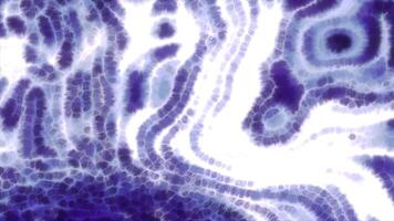 Purple and orange blots of paint. Motion. Bright clumps of paint spreading in different directions made in computer animation. video