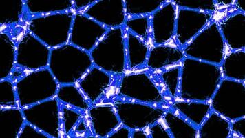 Pattern with moving neural networks on black background. Design. Bright lines in moving pattern and shining pulses. Light pulses move along changing network of pattern video