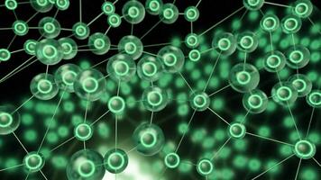 Biological connections of eggs. Design. Connections with round molecules in biological chains. Biological connection of molecules with dots video