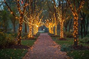 Evening Ambiance in a Lush Garden With String Lights photo