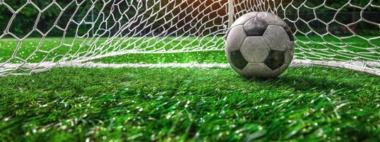 Soccer Ball Resting in Green Grass Near Goal Net on Sunny Day photo
