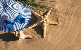 On a bright summer day, a blue striped summer hat, a large shell, and a starfish lie on the sand photo