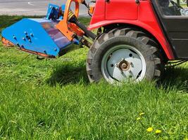 A red small tractor lawn mower mows a city meadow with dandelions on a bright spring day photo