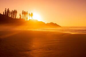 Sunrise on ocean beach with waves and rocks with trees. Joaquina beach in Florianopolis, Brazil photo