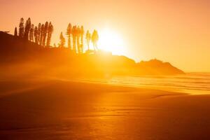 Sunrise on ocean coastline with waves and rocks with trees. Joaquina beach in Florianopolis photo