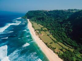 Aerial view of scenic coastline ocean waves and wild beach in Southern Bali island. photo